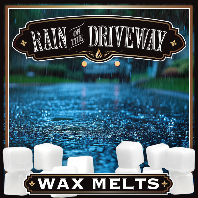 Load image into Gallery viewer, Rain On the Driveway
